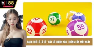 Bạch thủ lô là gì