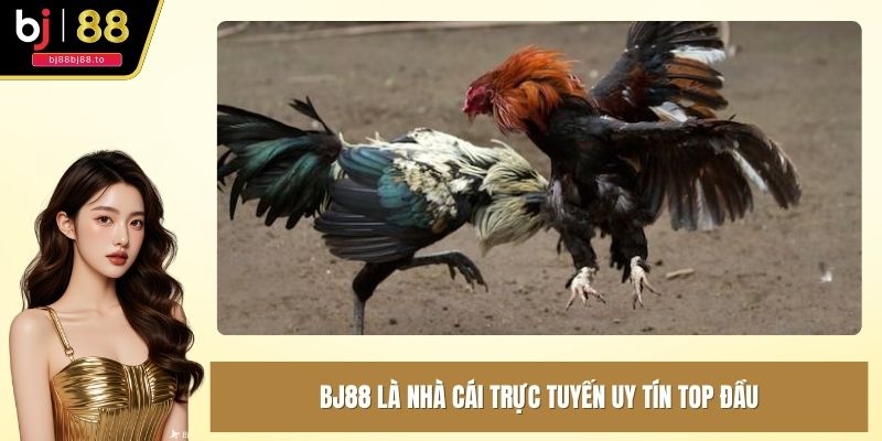 BJ88 là nhà cái trực tuyến uy tín top đầu