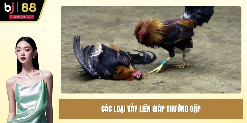 Các loại vảy liên giáp thường gặp