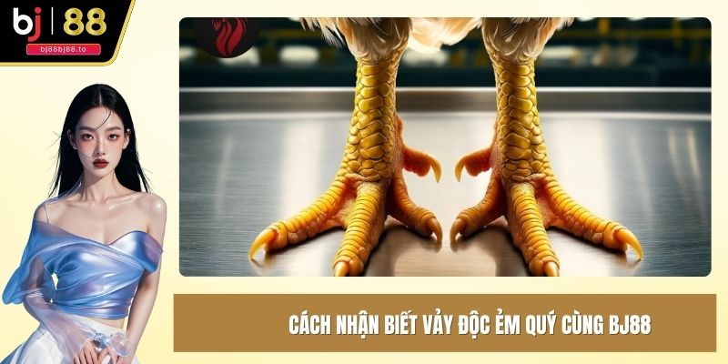 Cách nhận biết vảy độc ẻm quý cùng BJ88