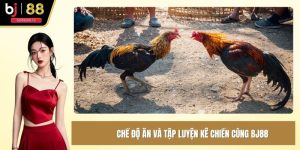 Cách nuôi gà đá chân mạnh