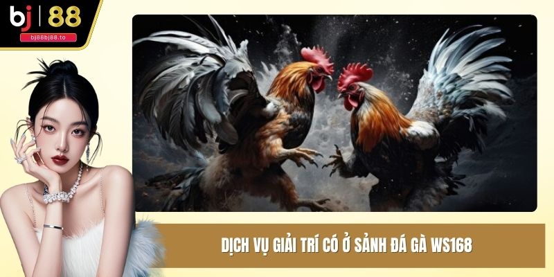 Dịch vụ giải trí có ở sảnh đá gà WS168