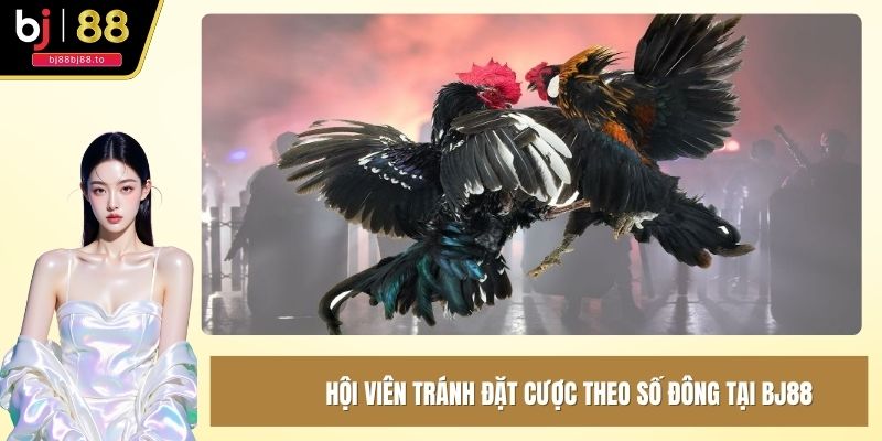 Hội viên tránh đặt cược theo số đông tại BJ88