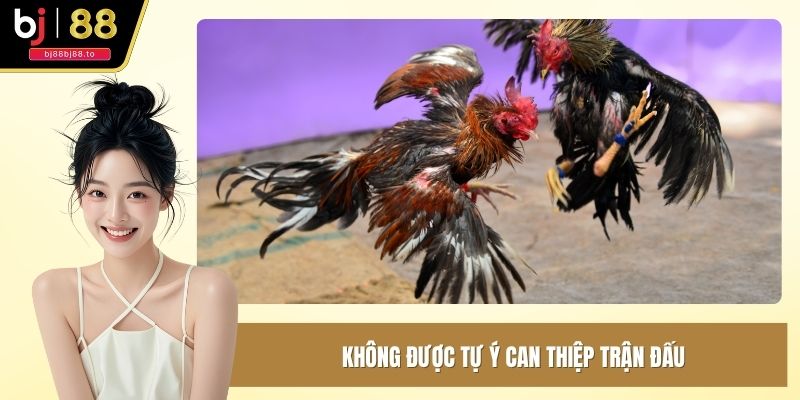 Không được tự ý can thiệp trận đấu