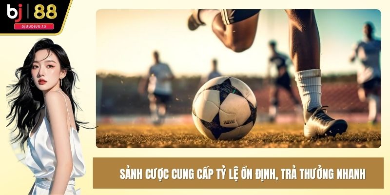 Sảnh cược cung cấp tỷ lệ ổn định, trả thưởng nhanh