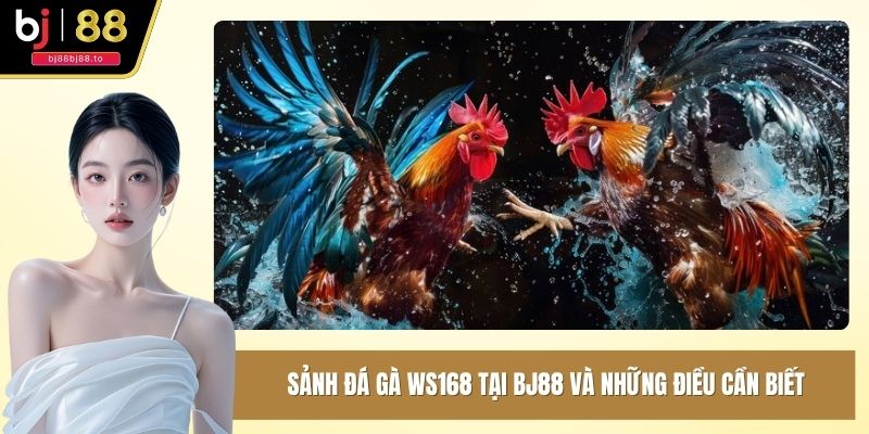 Sảnh đá gà WS168 tại BJ88
