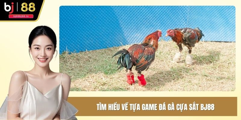 Tìm hiểu về tựa game đá gà cựa sắt BJ88