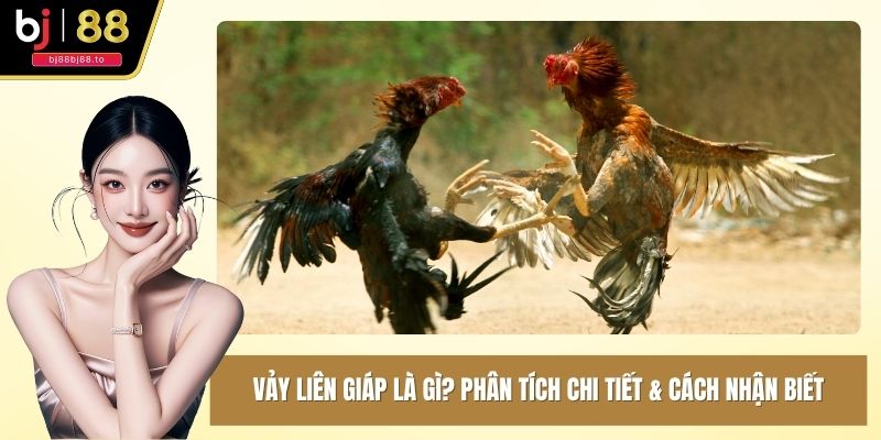 vảy liên giáp là gì